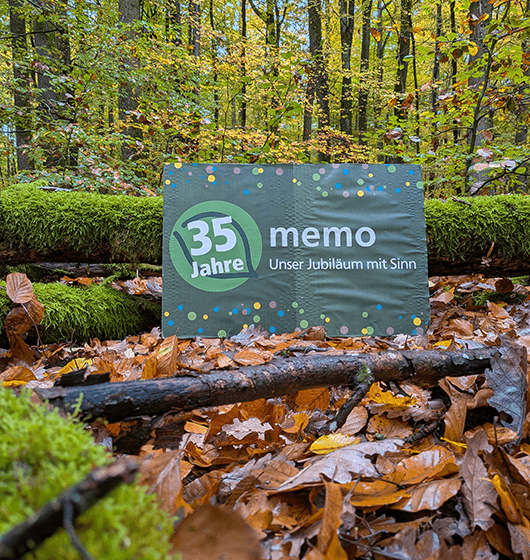 eicheln1 Eicheln sammeln