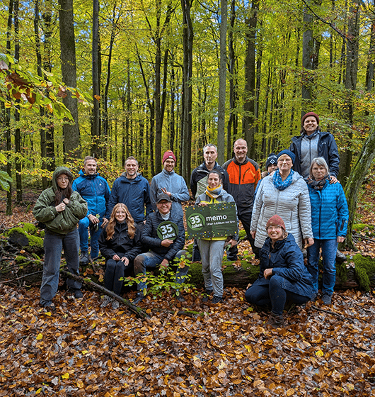 eicheln2 Eicheln sammeln