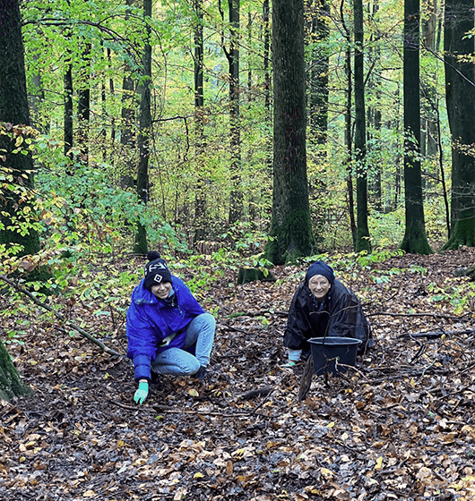 eicheln5 Eicheln sammeln